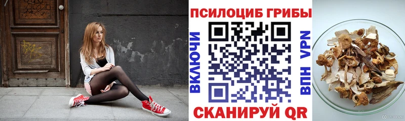Псилоцибиновые грибы Cubensis Ейск