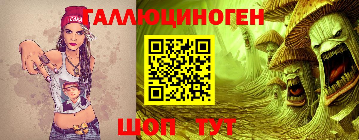 Галлюциногенные грибы Psilocybe Ейск