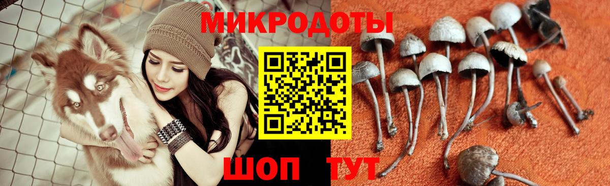 Ейск  Галлюциногенные грибы GOLDEN TEACHER  Вход с VPN  Галлюциногенные грибы GOLDEN TEACHER 